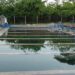 Alerta roja en Maicao por desabastecimiento de agua potable debido a los bloqueos