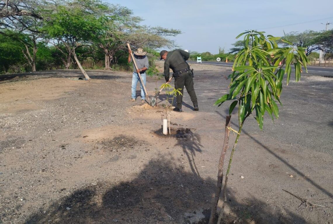 Realizan campaña de reciclaje y siembra de árboles para conservar el ecosistema en La Guajira