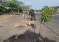 Realizan campaña de reciclaje y siembra de árboles para conservar el ecosistema en La Guajira