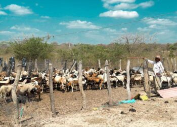 Gobierno invierte $32.000 millones en proyectos productivos para cuatro departamentos del Caribe