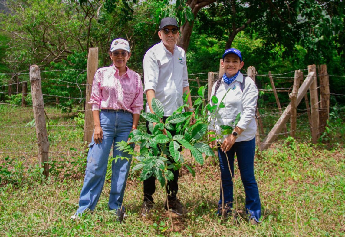 Con diversas actividades, Corpoguajira celebrará el Día Mundial del Medio Ambiente