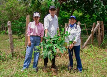 Con diversas actividades, Corpoguajira celebrará el Día Mundial del Medio Ambiente
