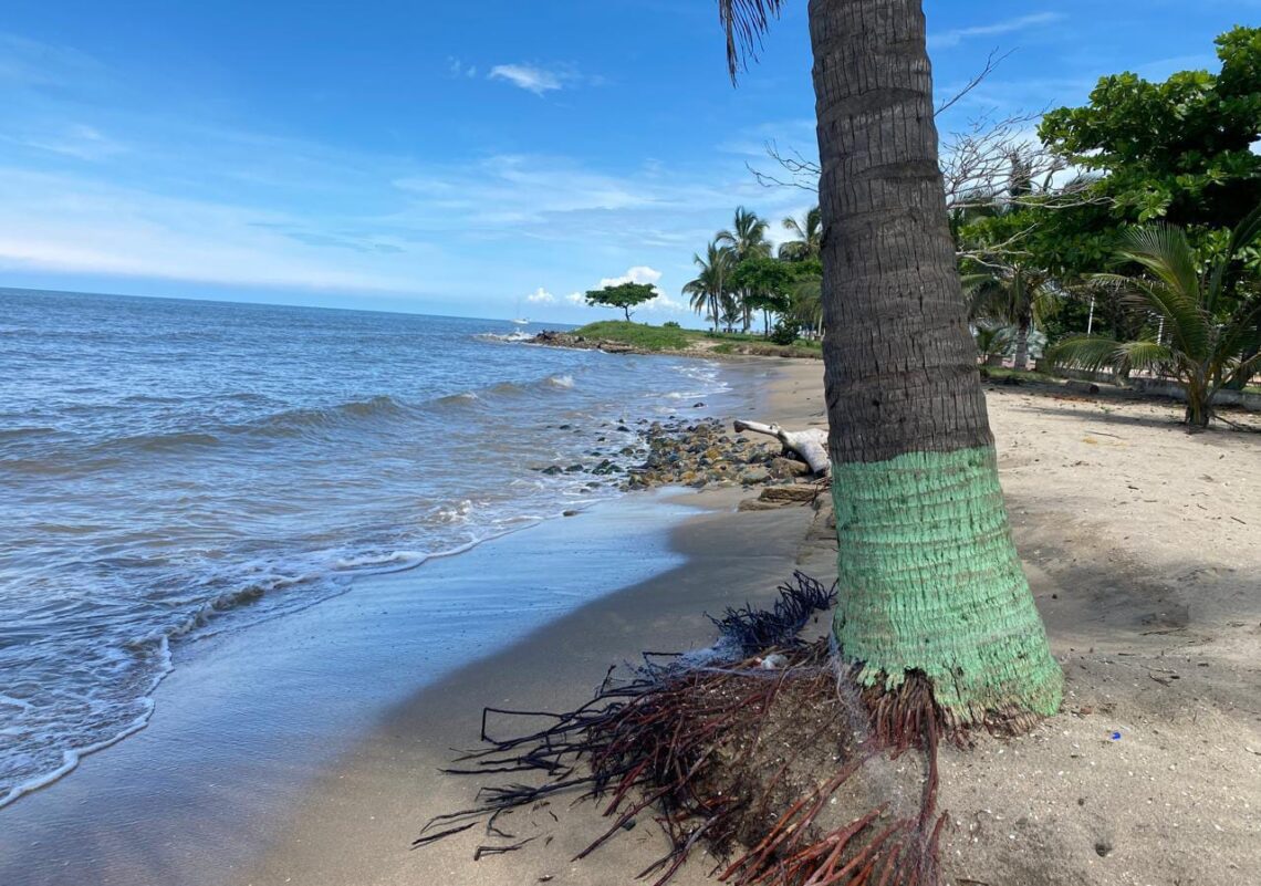 Autoridades de Dibulla toman medidas de prevención por temporada de lluvias