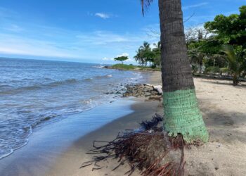 Autoridades de Dibulla toman medidas de prevención por temporada de lluvias