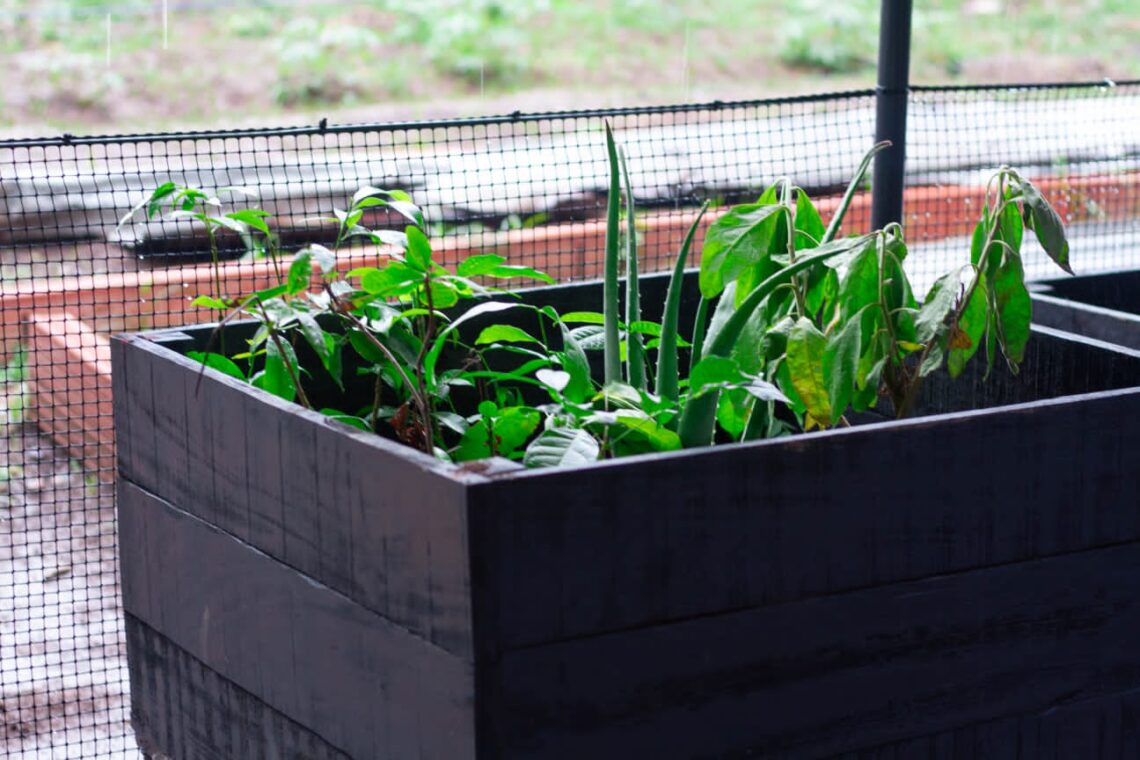 Corpoguajira entregó eco-viveros a Instituciones Educativas de Urumita, El Molino y Villanueva