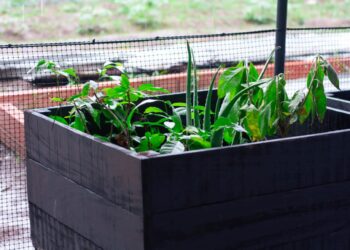 Corpoguajira entregó eco-viveros a Instituciones Educativas de Urumita, El Molino y Villanueva