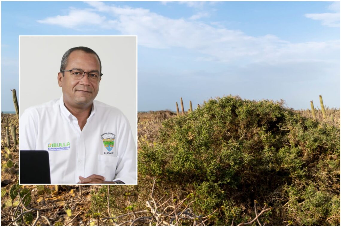 Riohacha, Uribia y Hatonuevo le dicen si a la cultura y el arte