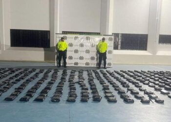 “La droga tenía como destino Centroamérica”: incautan 350 kilos de marihuana  en Uribia