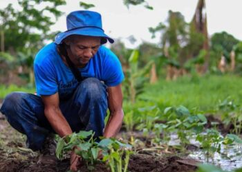 Agroecología: más allá de un nuevo programa académico en La Guajira