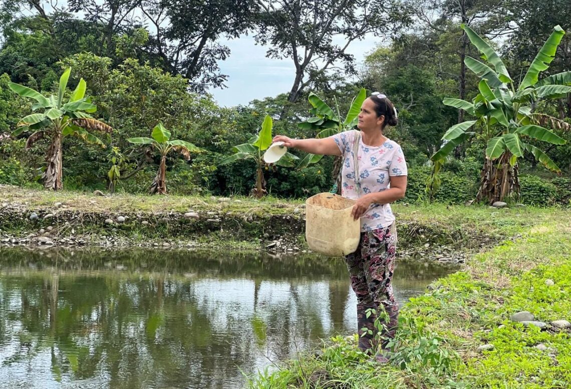 Aprueban proyecto de piscicultura para firmantes de paz en Fonseca