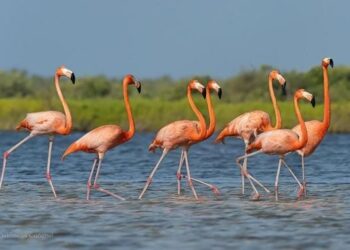 Advierten aumento de lluvias  durante el segundo semestre del 2024 por el fenómeno de La Niña aumentaría