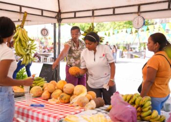 Avanza por buen camino el proyecto de construcción de la PTAR en Riohacha