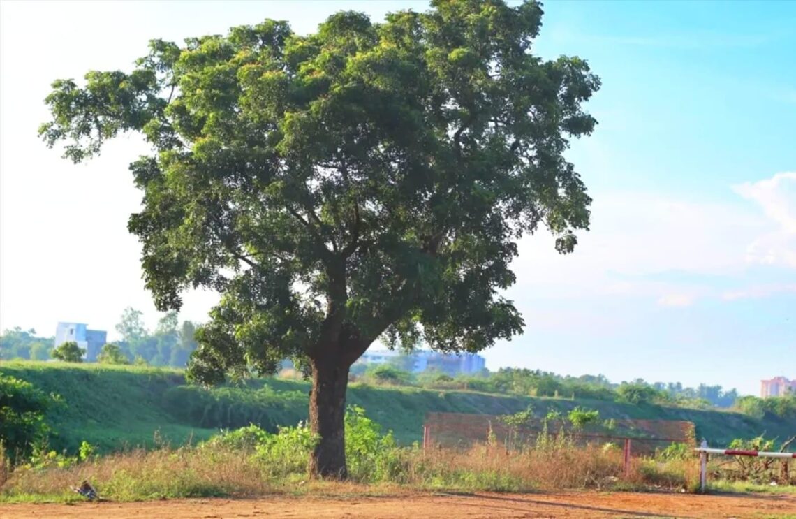 Gerente de Esepgua participó en el Foro Nacional sobre Vivienda y Población Indígena de la CGR