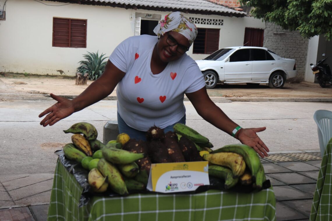 Consumo de alcohol y exceso de velocidad, principales responsables de los accidentes de tránsito en Riohacha