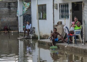 Aparición de una babilla de casi dos metros causó pánico en el casco urbano de Riohacha