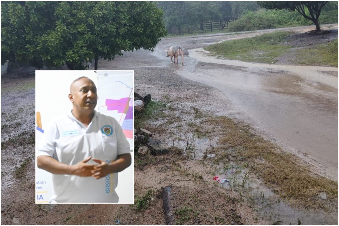 Riohacha recibió con orgullo a su Reina, Olga María Álvarez