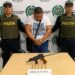 Sorprenden a un sujeto en pleno fin de año con una subametralladora en Riohacha