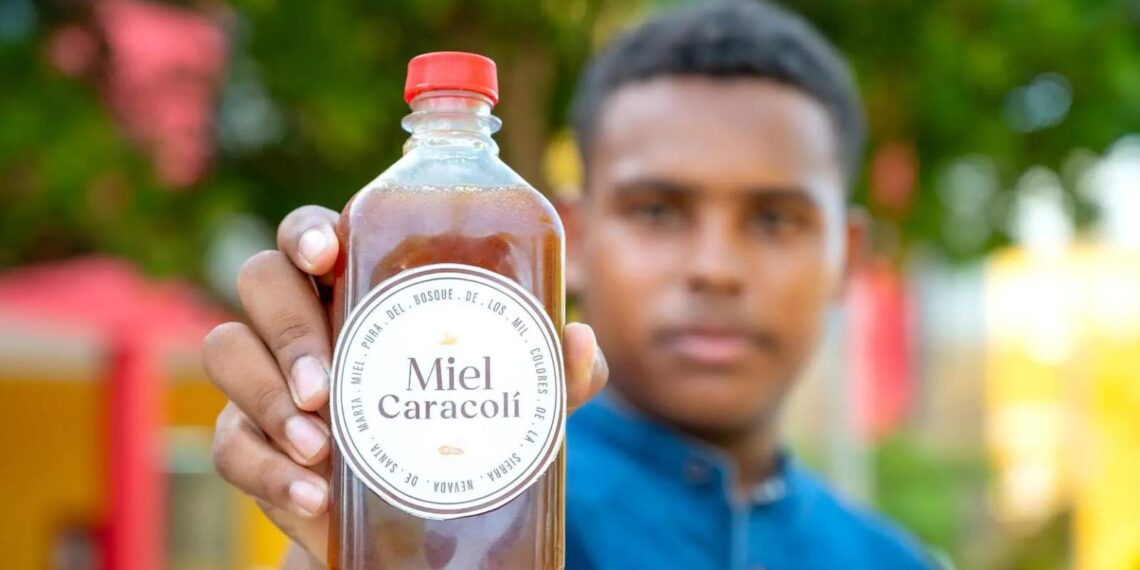 La enramada que construyeron en Uniguajira como espacio ancestral y pedagógico para la interculturalidad