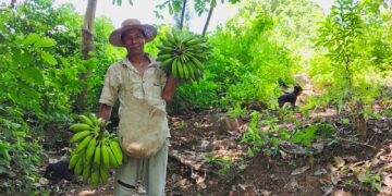 Pérdida y desperdicio de alimentos: un desafío que exige colaboración y solidaridad