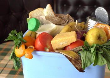 Aprobada la ley que crea el Fondo Nacional Contra el Hambre y fortalece a los Bancos de Alimentos